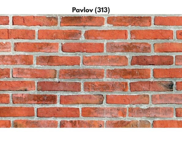 Wildstone Castle Brick – Plaquettes de pierre avec aspect classique de brique Wildstone Castle Brick – Plaquettes de pierre avec aspect classique de brique