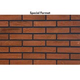 Bolix BQS Plaquettes de Parement Flexibles – Iron Red (Y1125/6) Bolix BQS Plaquettes de Parement Flexibles – Iron Red (Y1125/6)