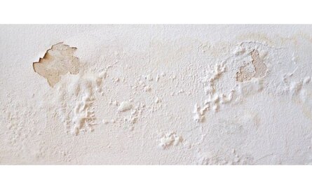 Wat zijn de oorzaken & gevolgen van opstijgend vocht in muren?