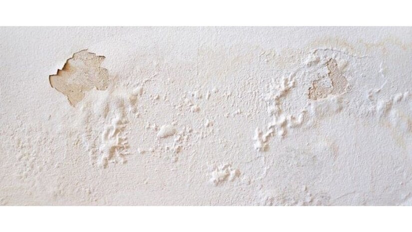 Wat zijn de oorzaken & gevolgen van opstijgend vocht in muren?