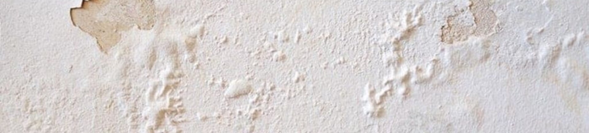 Quelles sont les causes et les conséquences de l’ humidité ascensionnelle dans les murs ?