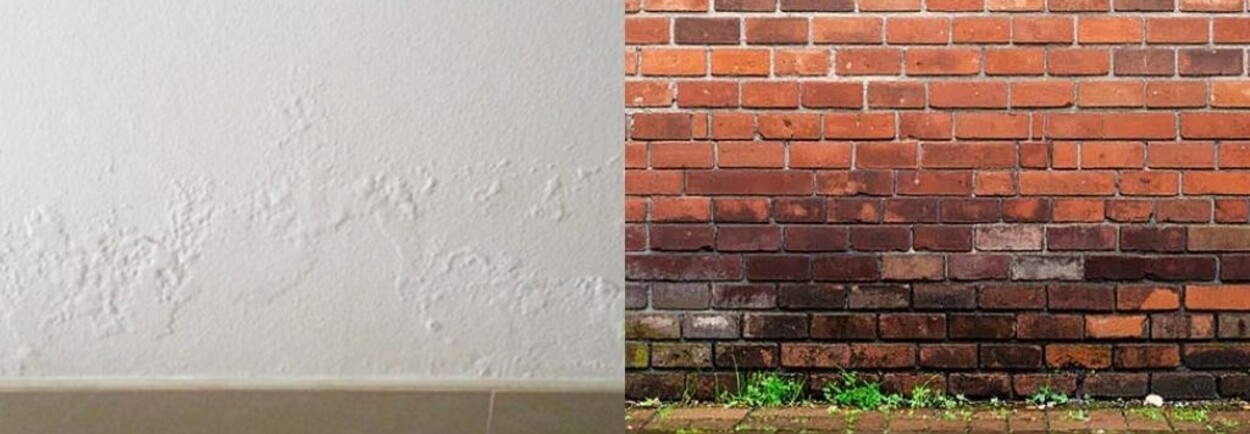 Wat zijn de verschillen tussen opstijgend vocht en doorslaand vocht? Wat zijn de verschillen tussen opstijgend vocht en doorslaand vocht?