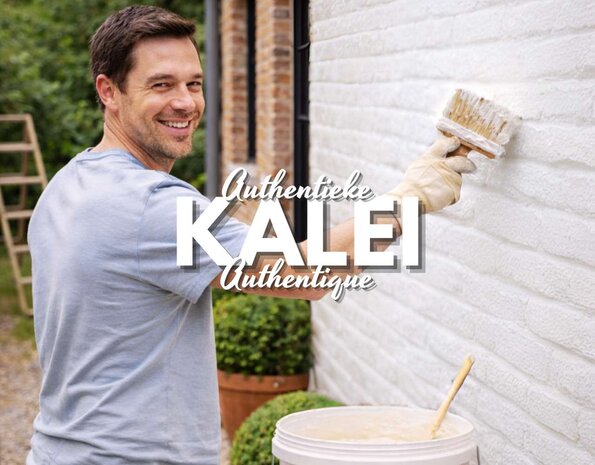 Do it Pro Products Kit d’échantillons KALEI CALCIC – Testez vous-même 3 couleurs de kalei sur votre façade Do it Pro Products Kit d’échantillons KALEI CALCIC – Testez vous-même 3 couleurs de kalei sur votre façade