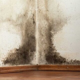 ThermoDry - Dampopen systeem tegen condens en schimmel op muren