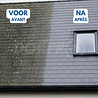 Technichem Nettoyant TECHNICLEAN TOITURES