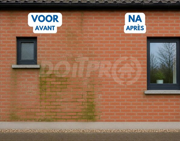 Technichem Démousseur TECHNICIDE PLUS Technichem Démousseur TECHNICIDE PLUS