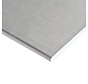 Gipsplaat RK 9.5 mm 4800 x 600mm