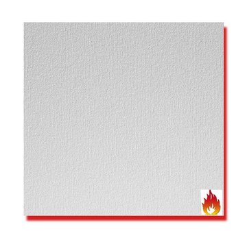 Agnes® plafondplaten brandwerend wit linnen 1200 x 600 x 12 mm (4 stuks)