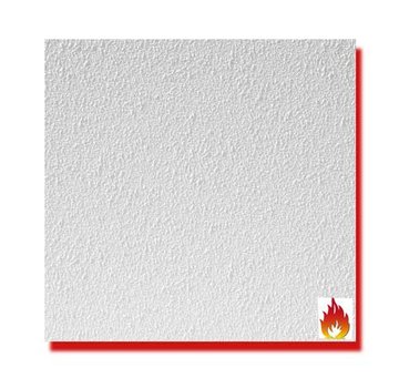 Agnes® plafondplaten brandwerend wit stuc 1200 x 600 x 12 mm (4 stuks)