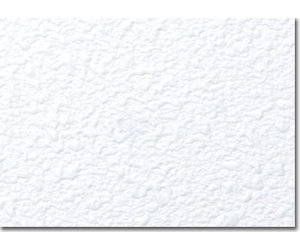 Agnes® kniklijst wit stuc x 4,3 x 51 mm kopen? - BouwOnline.com
