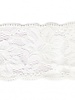 stretch lace  55 mm - champagne