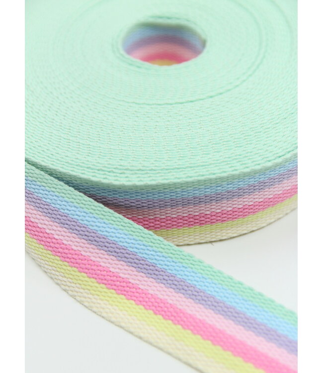 regenboog tassenband roze 40 mm