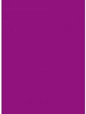 Flex – Sportfilm – purple 280