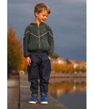 Wisj patterns Timo Baggy pants
