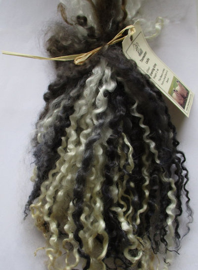 teeswater locks - evening grey