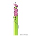 markeer potlood - 6 stuks - mixed