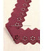 bordeaux - broderie lint 50 mm - enkele rij bloemetjes