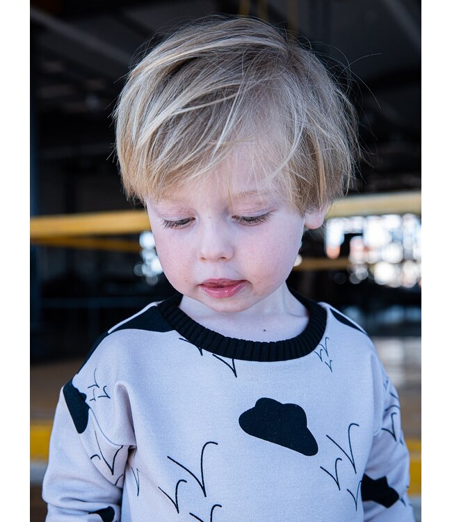 Zonen09 BOZ sweater - baby - PDF patroon