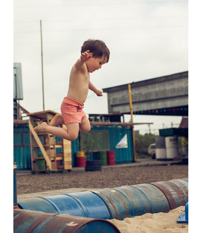 Zonen09 PIM short - PDF patroon