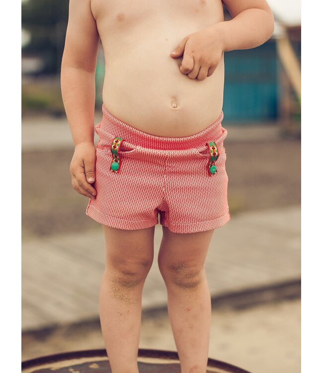 Zonen09 PIM short - PDF patroon