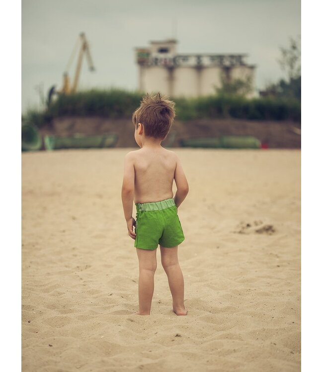 Zonen09 PIM short - PDF patroon