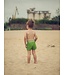Zonen09 PIM short - PDF patroon
