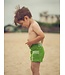 Zonen09 PIM short - PDF patroon