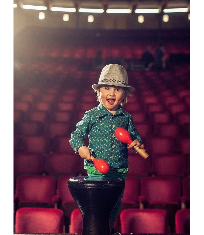 Zonen09 Theo hemd kids - PDF patroon