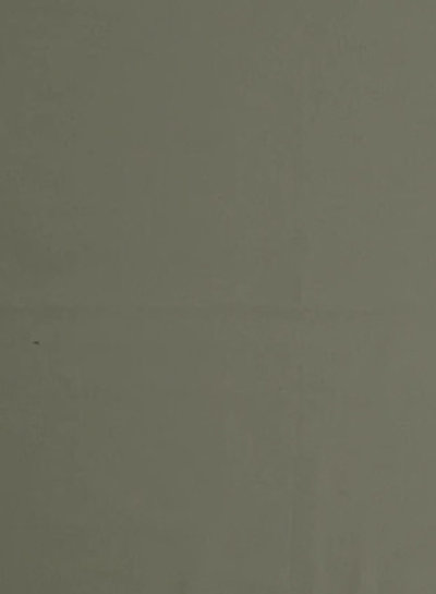 plain jersey - light khaki 027