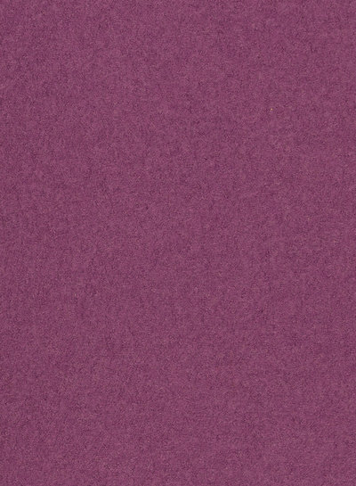 M. violet - boiled wool