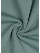 mint - thick jogging, softly roughened on the inside