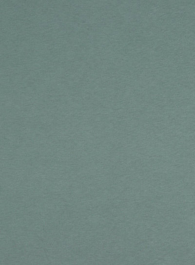 mint - thick jogging, softly roughened on the inside