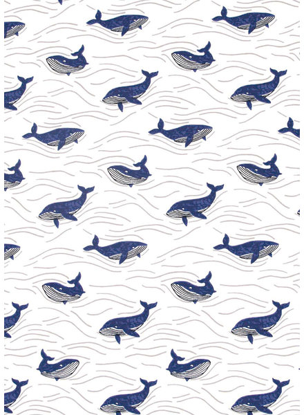Katia fabrics whales - beautiful jersey