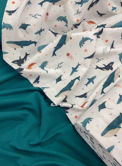 effen tricot - petrolgroen