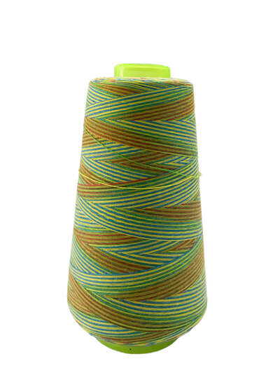 Overlock thread 3000 m - Multicolor 109