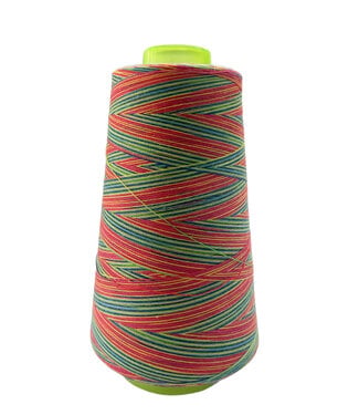 overlock thread 3000 m - multicolor 105