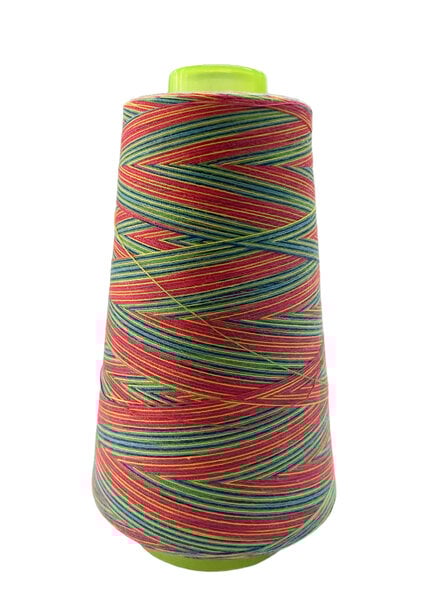 overlockgaren 3000 m - multicolor 105