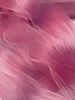 Swafing ombre roze - tule