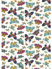 butterfly transformation - cotton