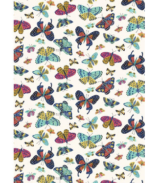 butterfly transformation - cotton