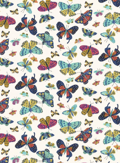 butterfly transformation - cotton