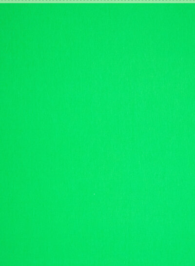 Fibremood Gwen, Erica green - organic plain jersey