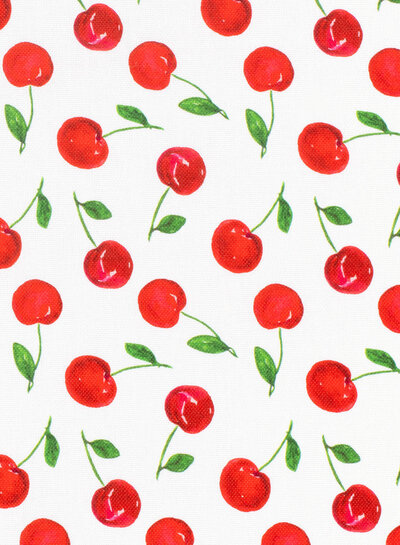 cherries - canvas