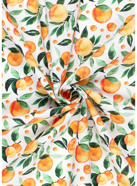 oranges - canvas