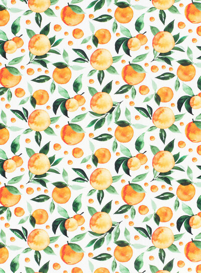 oranges - canvas