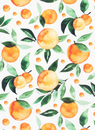 oranges - canvas