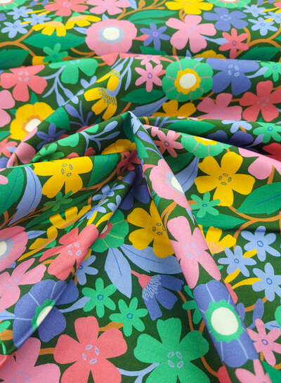 meadow - cotton - life of plants