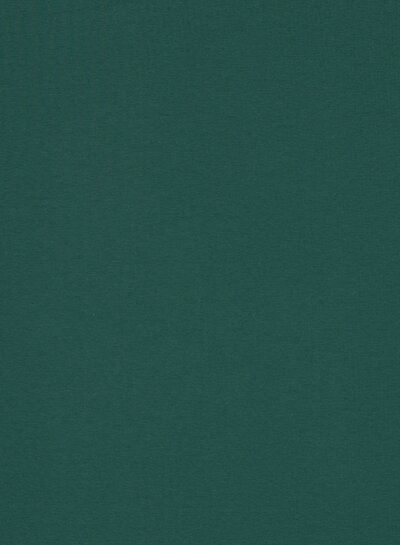 Swafing mint - sturdy border fabric - 1 meter wide