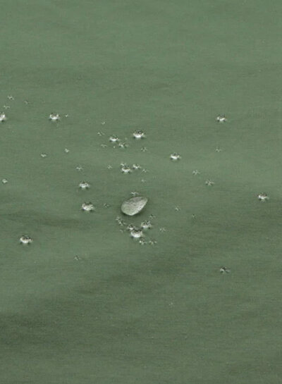 sage green- dry waxed cotton / oilskin