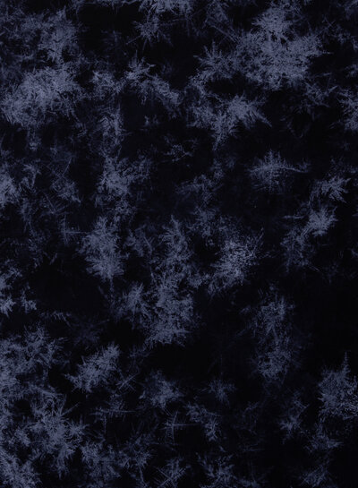 THORSTEN BERGER bijpassende french terry bij paneel HoHoHo Xmas vibes